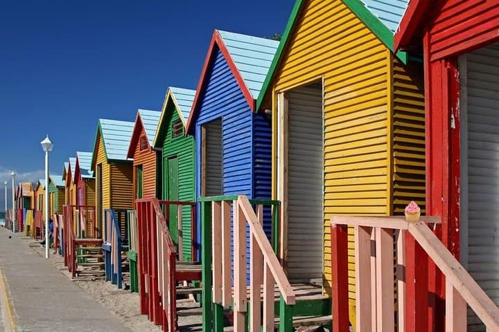 Cape Point and Penguins Full-Day Tour — Boulders Beach, Chapman's Peak & Cape of Good Hope photo 6
