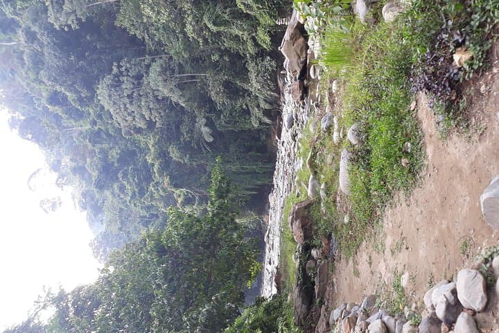 Bukit Lawang Jungle Trek: Orangutans, Gibbons & Bohorok River Rafting photo 5