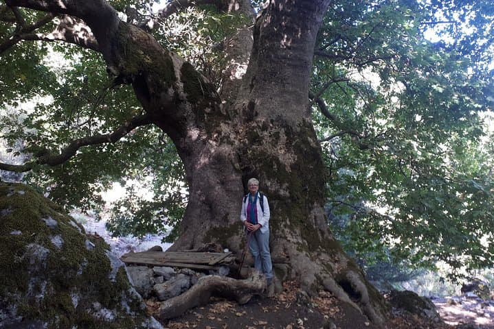 Zourva to Tromarissa Hike — Crete Ridge Walk to a Year-Round Spring photo 5