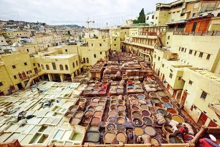 Full-Day Fes Medina and Jewish Quarter Walking Tour: Royal Palace, Medrassas & Tannery