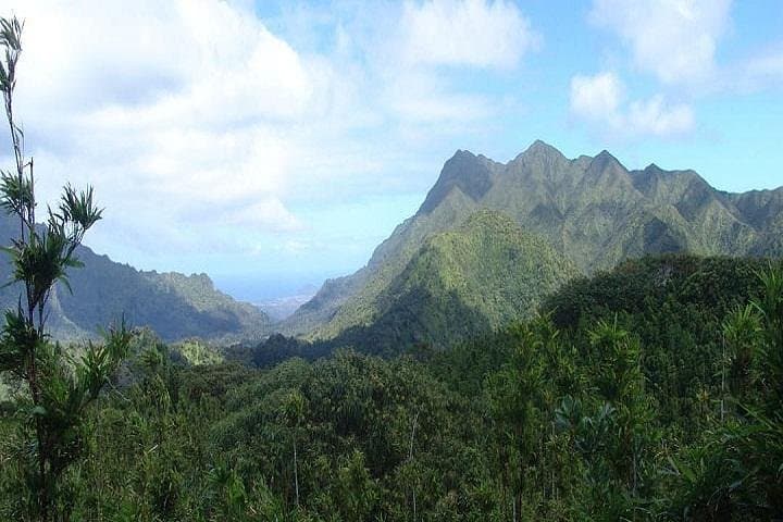 Pearl Harbor and Mini Circle Island Tour from Waikiki — Full-Day Oahu Highlights photo 6