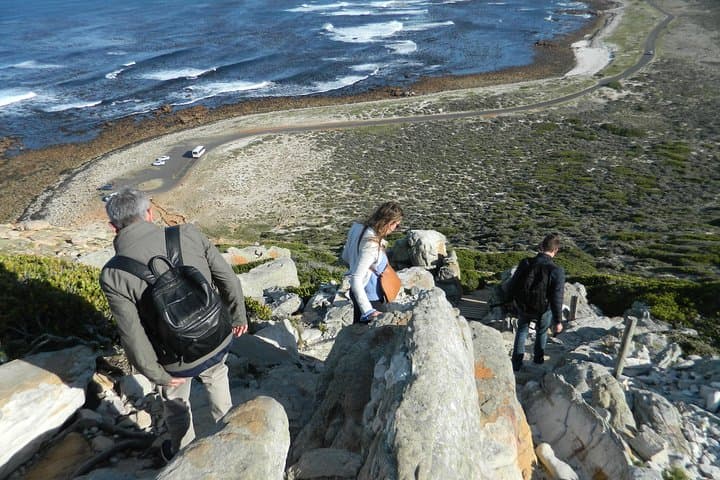 Best of Cape Town: Chapman's Peak, Penguin Colonies & Cape Point in a Day photo 5