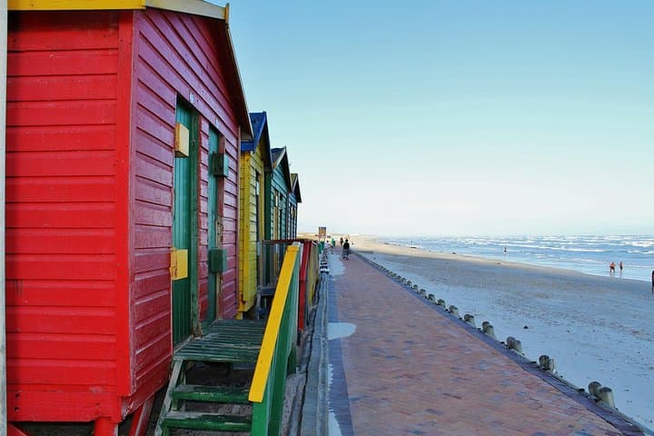 Cape Town to Garden Route: 5-Day Coastal Road Trip from Table Mountain to Knysna photo 5
