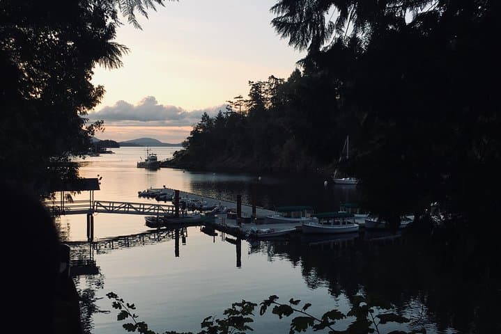 Victoria to Butchart Gardens: Private Deluxe 5-Hour Tour of Gardens, Harbour & History photo 6