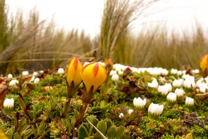 Cajas National Park Hike & Thermal Baths Day Trip from Cuenca photo 5