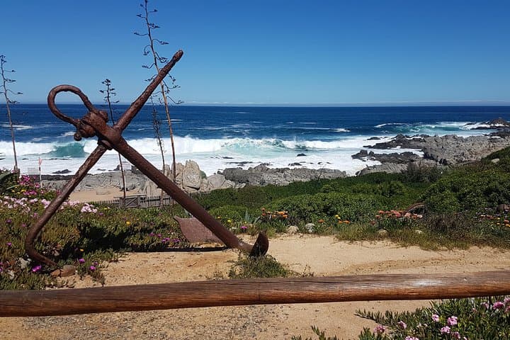 Isla Negra and Undurraga Vineyard Day Trip: Neruda's House & Maipo Wine Tasting