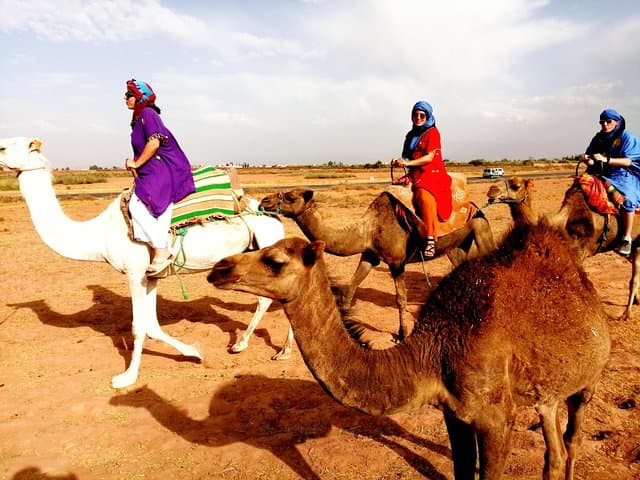 Atlas Mountains Day Trip: 5 Valleys & Camel Ride from Marrakech photo 2