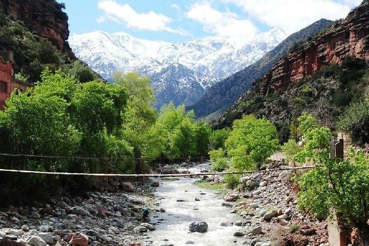 Half-Day High Atlas Adventure: Setti Fadma Waterfalls & Argan Workshop from Marrakech