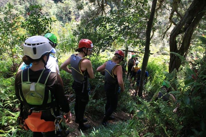 Rappel Maui Waterfalls and Rainforest Cliffs — Road to Hana Adventure photo 6