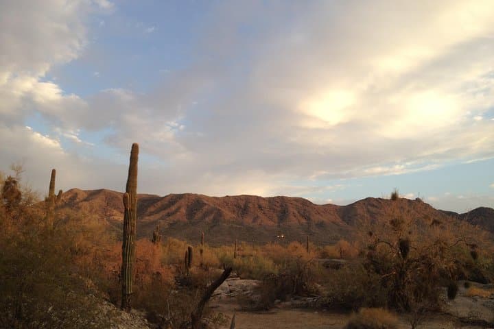 Apache Trail & Dolly Steamboat: A One-Day Sonoran Desert Road and Canyon Lake Cruise photo 5