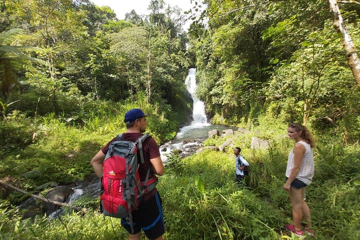 Seven Wonder Waterfalls Trekking — North Bali Waterfall Hike from Ubud photo 2