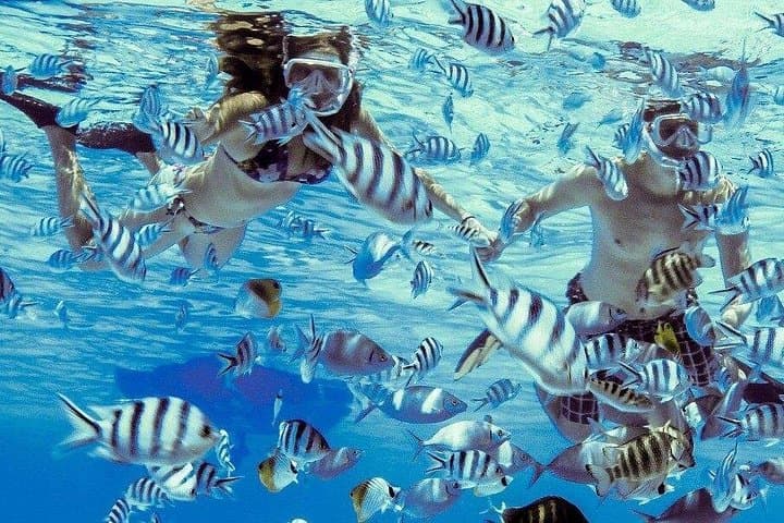 Private Bora Bora Lagoon Eco Snorkel Cruise — 3- or 6-Hour Romantic Eco Tour photo 3