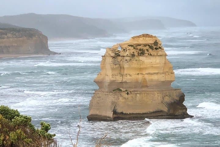 Private Great Ocean Road Local Tour: 12 Apostles, Otways & Wildlife photo 6