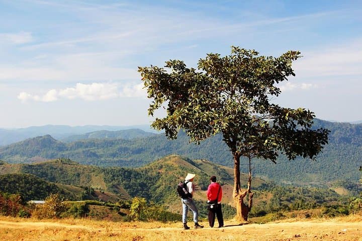 Trekking to Palaung Villages from Kalaw: 6-Hour Cultural Forest Hike photo 5