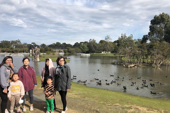 Phillip Island Penguin Parade Private Tour — Evening Wildlife, Koala Walk & Beach Strolls photo 5
