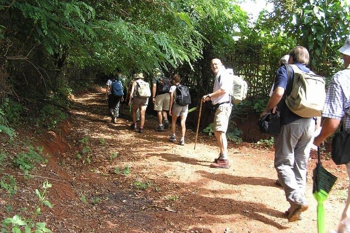 Trekking to Palaung Villages from Kalaw: 6-Hour Cultural Forest Hike photo 6
