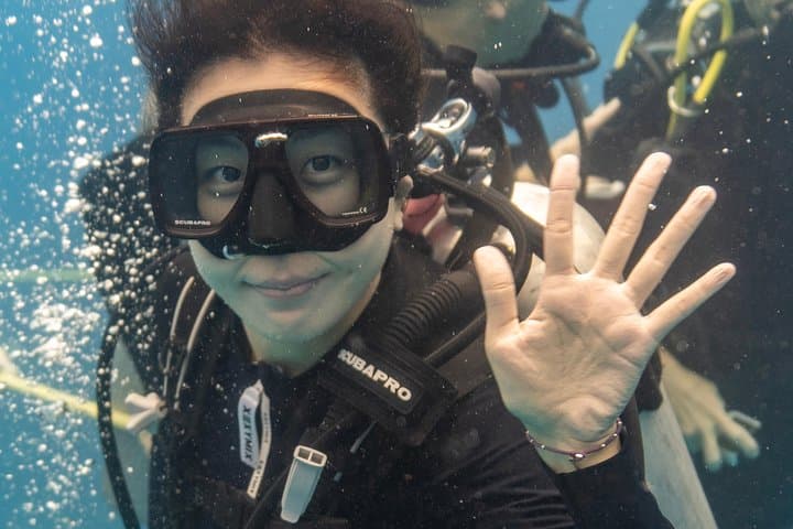 Oahu Scuba Diving Tour: Swim with Giant Sea Turtles on a 4-Hour Coral Reef Adventure photo 5