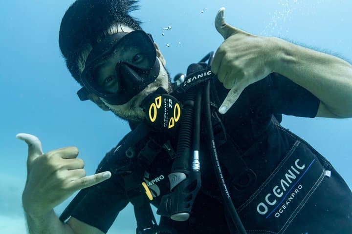 Oahu Scuba Diving Tour: Swim with Giant Sea Turtles on a 4-Hour Coral Reef Adventure photo 3