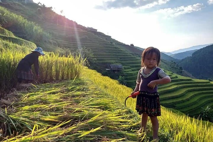 Authentic Sapa 3-Day Trek: Rice Terraces, Ethnic Villages & Fansipan Views photo 1