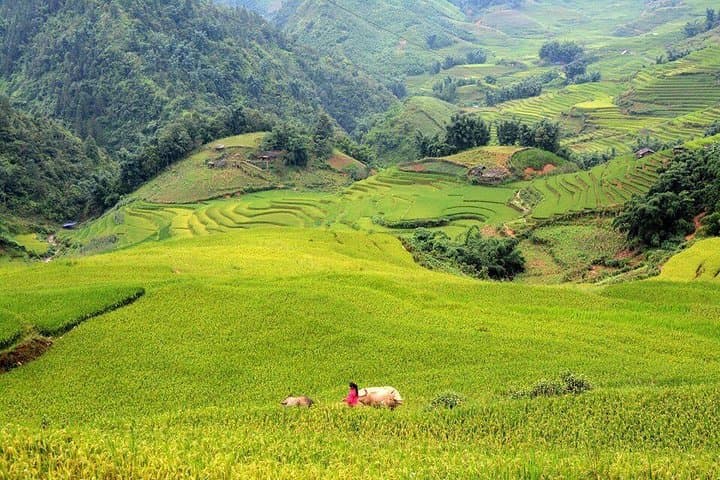 Authentic Sapa 3-Day Trek: Rice Terraces, Ethnic Villages & Fansipan Views photo 2