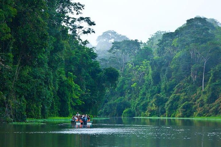 8-Day Costa Rica: San José, Tortuguero & Cahuita Wildlife and Coast Adventure photo 4
