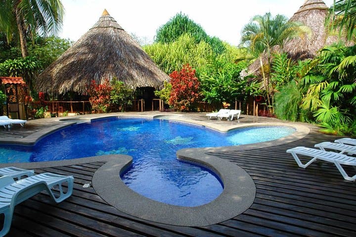 8-Day Costa Rica: San José, Tortuguero & Cahuita Wildlife and Coast Adventure photo 6