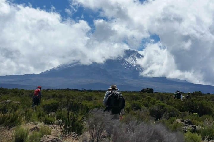8-Day Lemosho Route Climb: Mount Kilimanjaro Trek for Experienced Trekkers photo 6