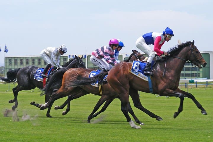 Kenilworth Raceday Tour: Table Mountain Views, Hospitality & Betting in Cape Town photo 3