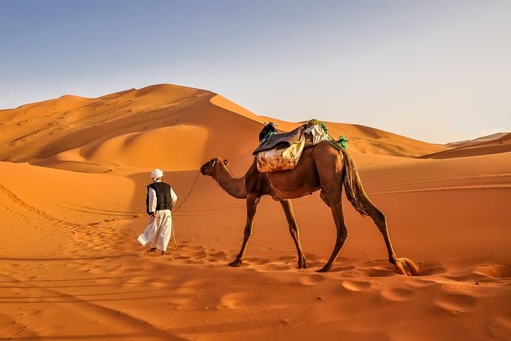 3-Day Sahara Crossing: Marrakech to Fes via Merzouga Dunes photo 6