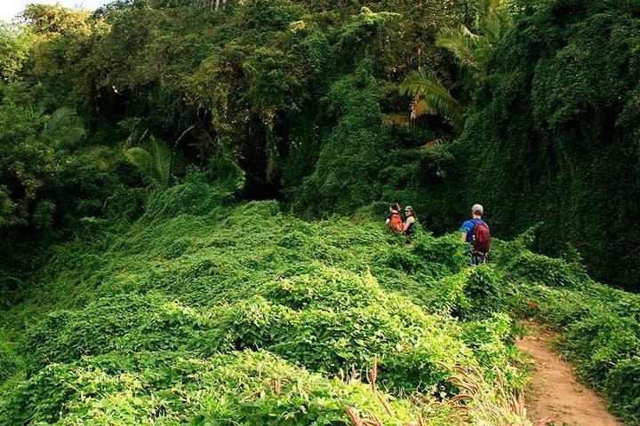 Monkey Mountain Jungle Hike — Punta Mita Summit Trail Guide photo 2
