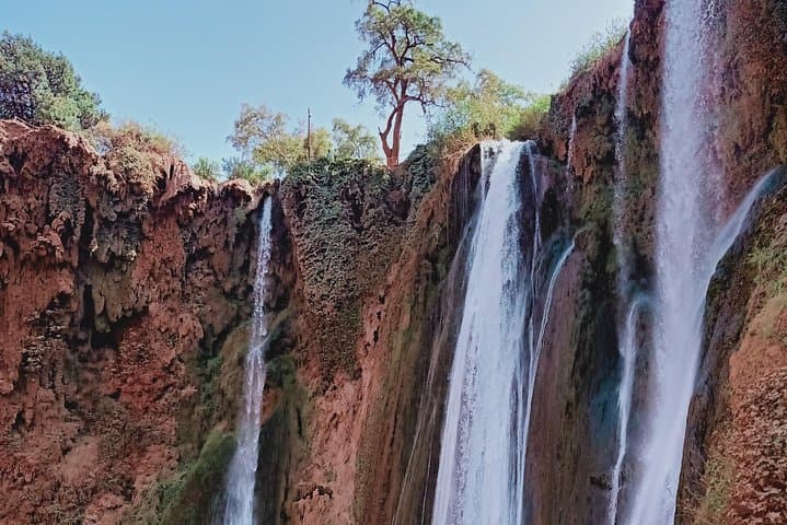 Full-Day Ouzoud Waterfalls Tour from Marrakech — Olive Terraces, Monkeys & Mills photo 6