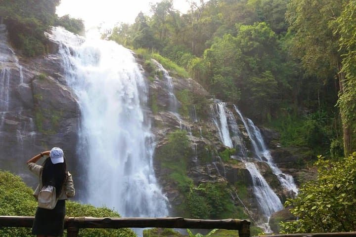 Doi Inthanon Day Tour: Waterfalls, Twin Pagodas & Royal Project from Chiang Mai photo 4