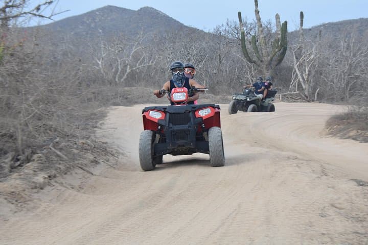 Double ATV Migriño Beach & Desert — Cabo San Lucas ATV Beach & Mangrove Tour photo 5