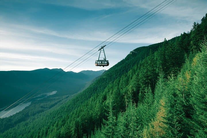 Capilano Suspension Bridge and Grouse Mountain: North Shore Day Tour from Vancouver photo 4