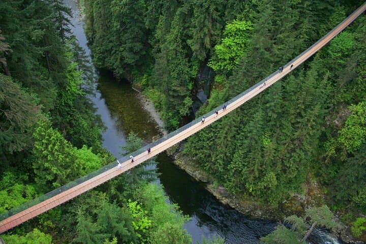 Vancouver North Shore Tour - Capilano Suspension Bridge & Grouse Mountain Day Trip photo 3