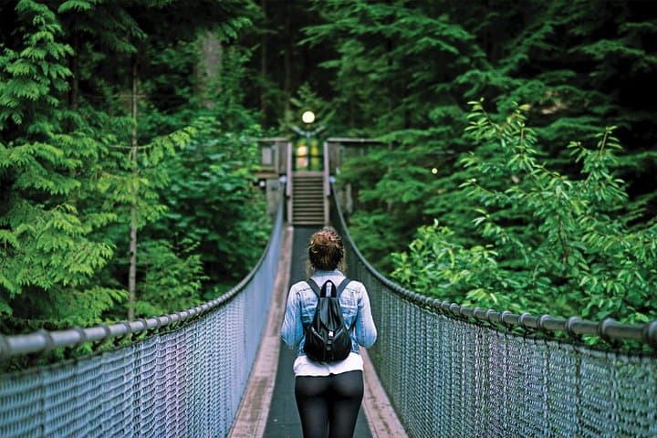 Vancouver North Shore Tour - Capilano Suspension Bridge & Grouse Mountain Day Trip