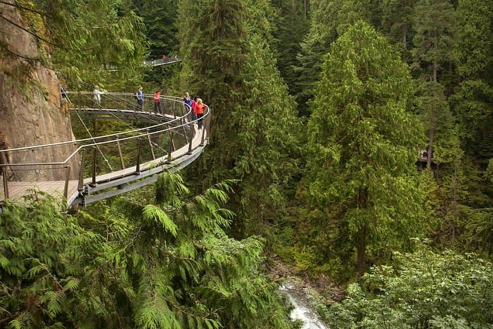 Vancouver North Shore Tour - Capilano Suspension Bridge & Grouse Mountain Day Trip photo 4