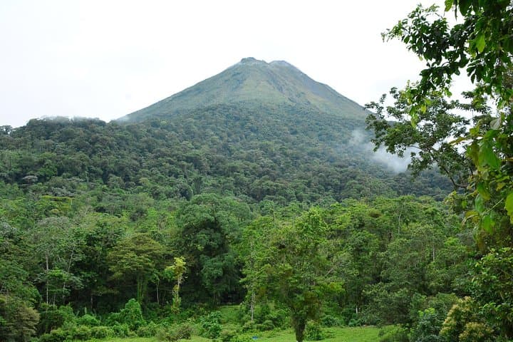 Arenal Volcano Zipline & Tarzan Swing — Canopy Adventure in La Fortuna photo 3
