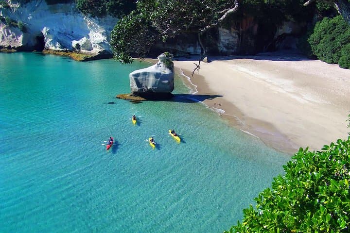 Sea Kayaking to Cathedral Cove: Hahei's Iconic Coastal Paddle photo 2