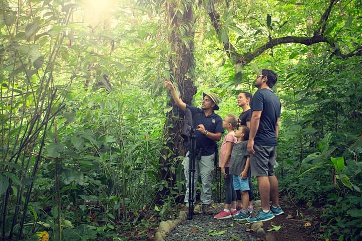 La Fortuna Sloth Sanctuary & Balsa River Class II–III Rafting Combo