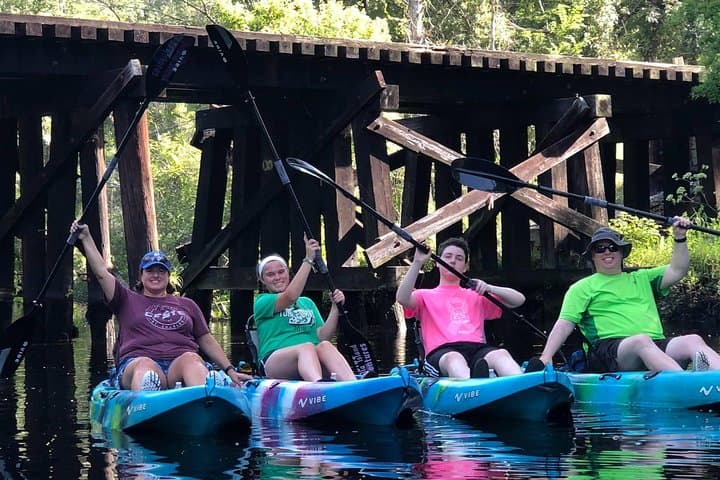 Paddle Lofton Creek: Guided Kayak Eco Tour on Amelia Island