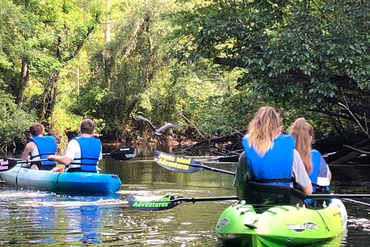 Paddle Lofton Creek: Guided Kayak Eco Tour on Amelia Island photo 2