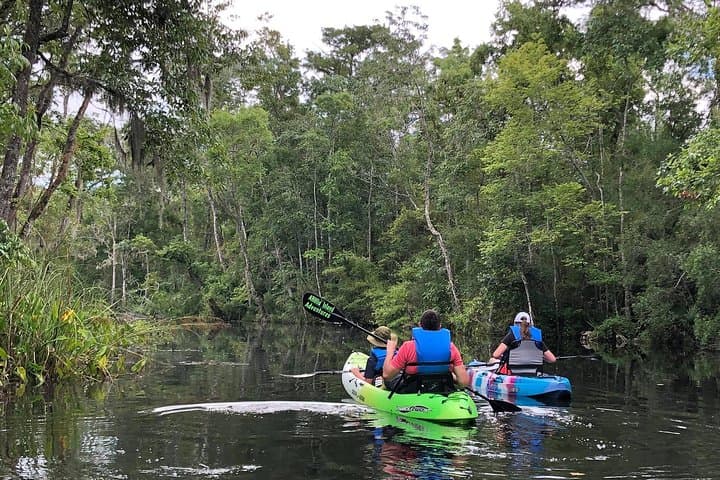 Self-Guided Kayaking on Amelia Island's Blackwater Creek — Real Florida Adventure