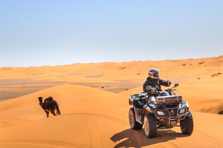 Dubai Desert ATV Quad Biking: 1-Hour Dune Ride from Dubai photo 4