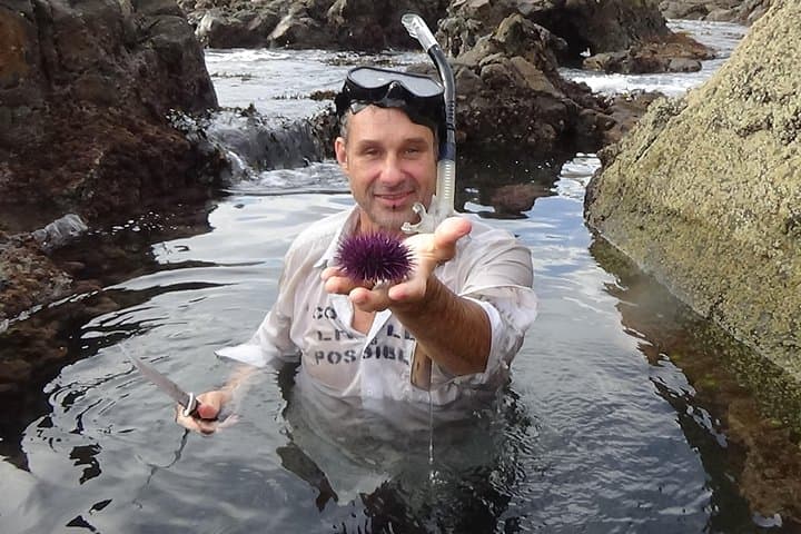 Snorkeling Los Angeles: Secluded Kelp Forests & Fresh Uni Near Redondo Beach photo 1