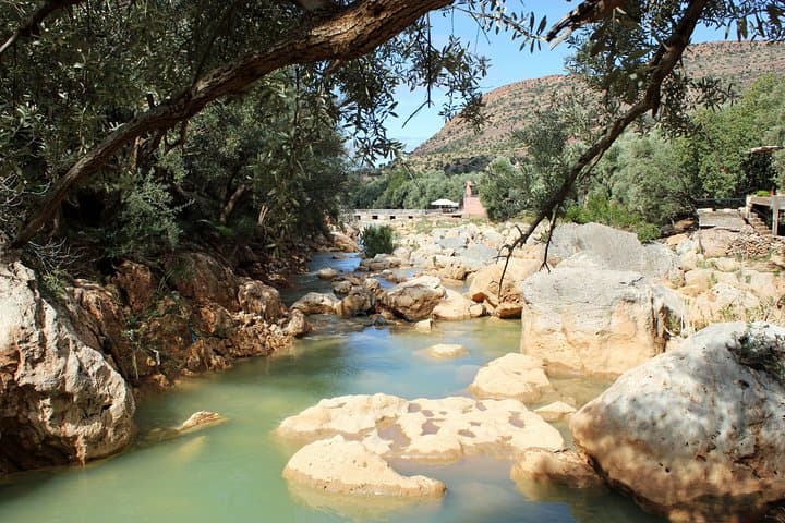 Beekeeping and Mountain Tour in Imouzzer: Honey Routes and Mountain Pools from Agadir