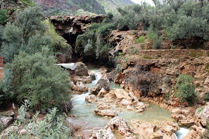 Beekeeping and Mountain Tour in Imouzzer: Honey Routes and Mountain Pools from Agadir photo 6