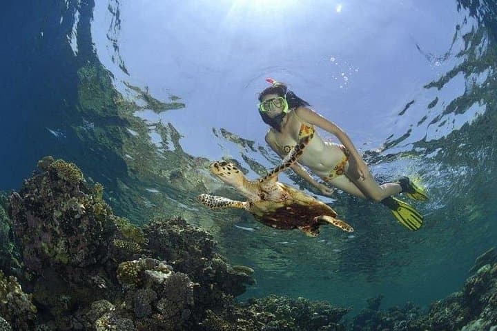 Dahab Safari and Blue Hole Snorkeling: Jeep, Camel & Reefs from Sharm El Sheikh photo 1