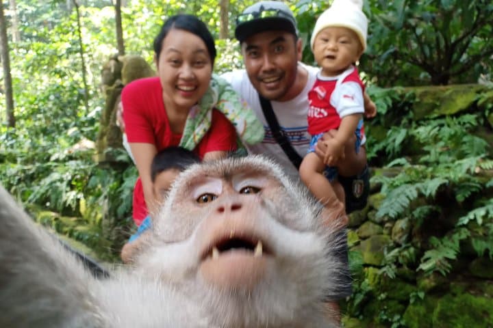 Ubud Rice Terraces, Monkey Forest & Coffee Plantation: A Practical Day Tour Guide photo 2