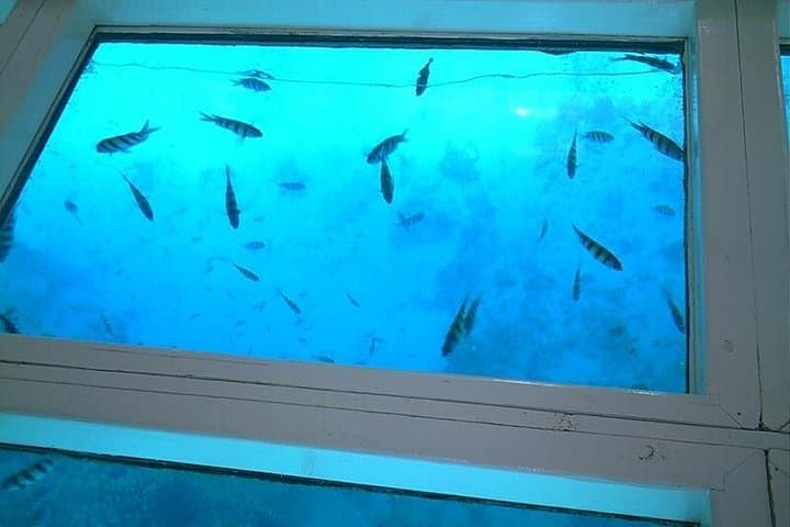 Glass Bottom Boat Trip in Sharm el Sheikh: See the Red Sea Reefs from Above photo 2